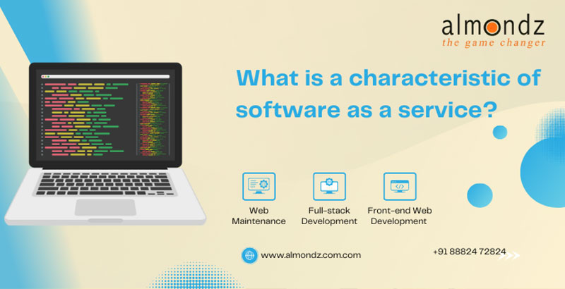 What is a characteristic of software as a service?