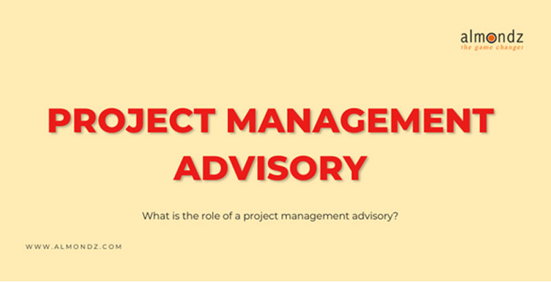 What is the role of a project management advisory?